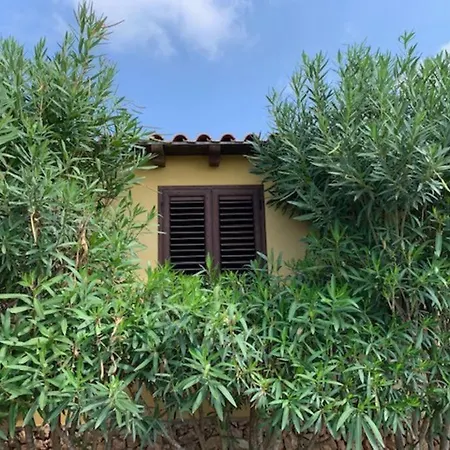 Maveda, Un Dammuso Immerso Nel Verde Holiday home *