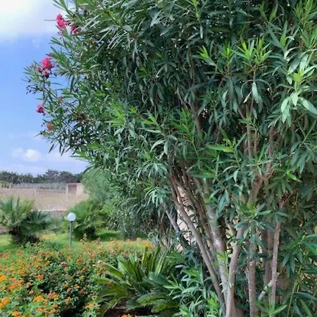 Maveda, Un Dammuso Immerso Nel Verde *
