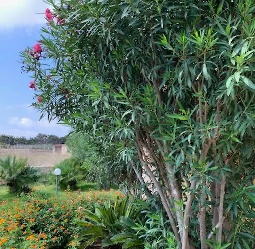 Maveda, Un Dammuso Immerso Nel Verde *